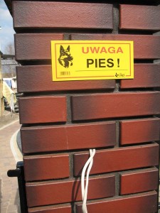 Słupek przed montażem bramofonu